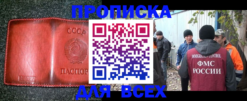 временная регистрация поиск в Светлогорске